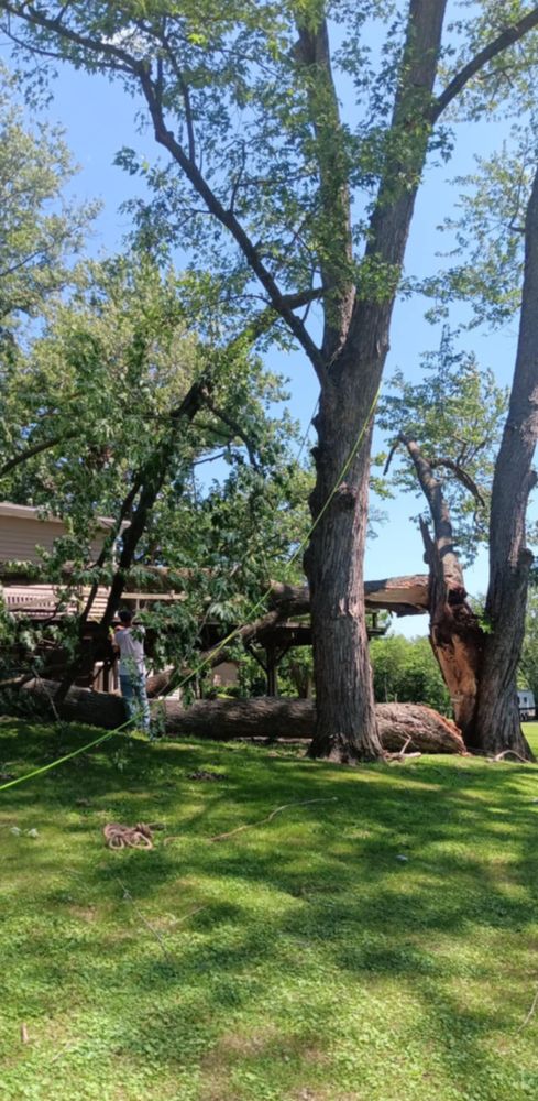 All Photos for Lawn Ranger Yard And Tree Service LLC in Ottumwa, IA