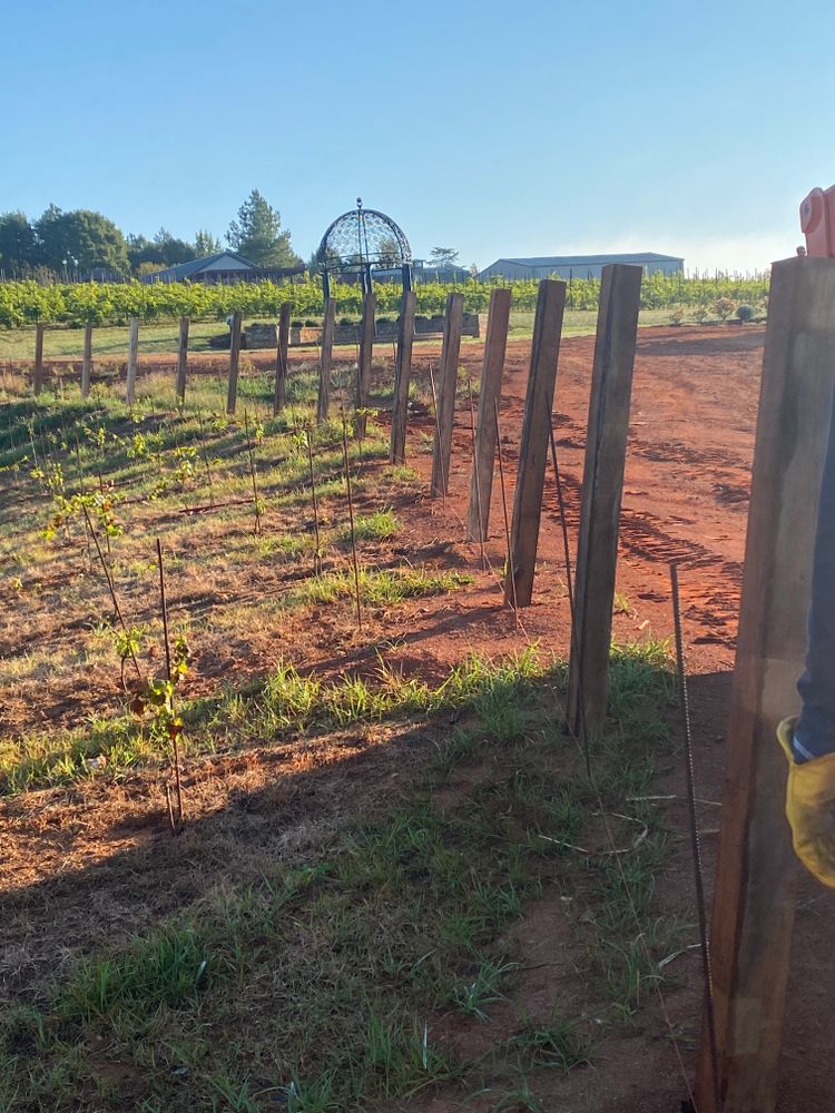 All Photos for LB Fencing & Services in Archdale, NC