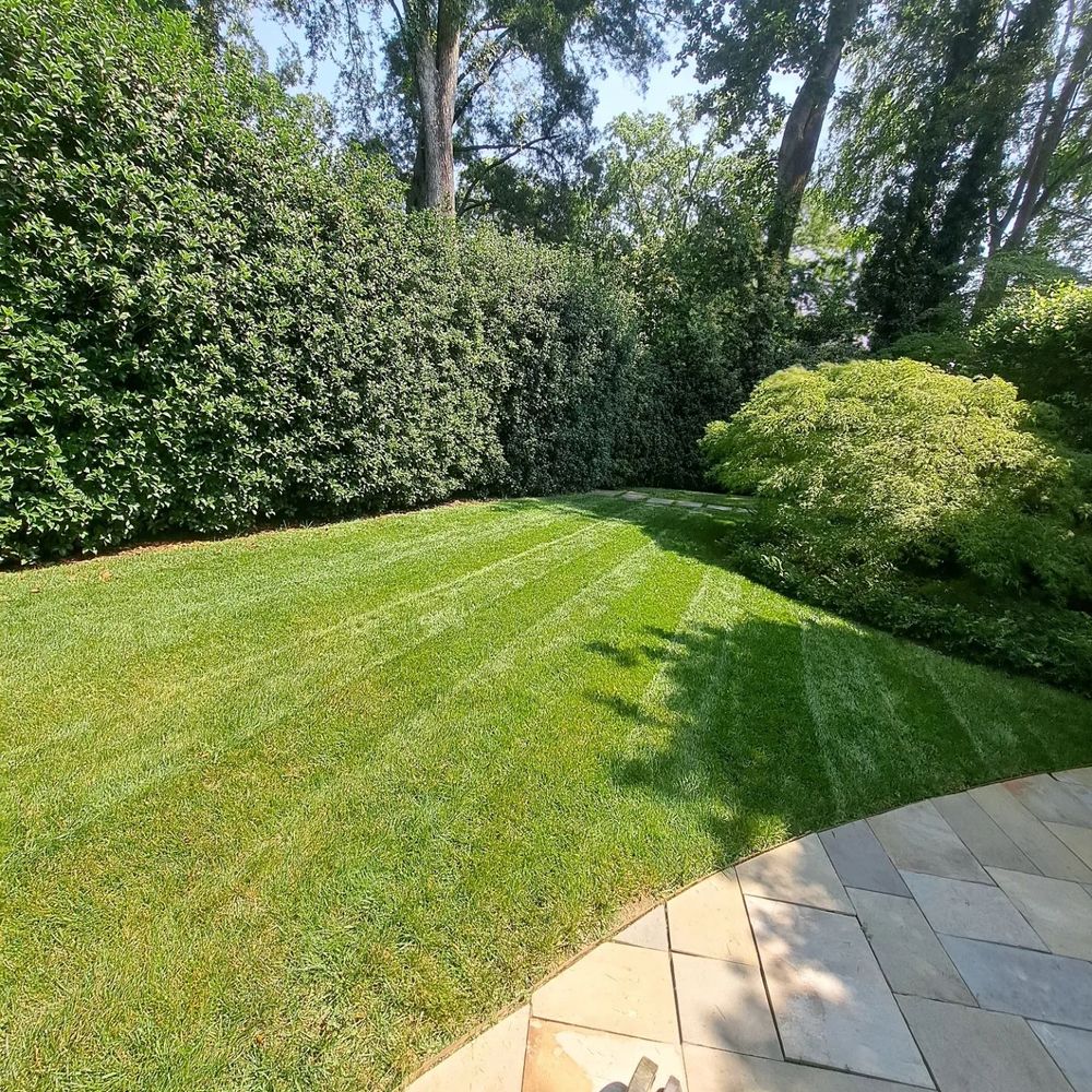 Lawn Care for Dee's Lawn Care Services in Lake Wylie, SC