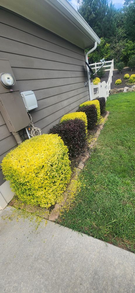 Revitalize your landscape with our expert shrub trimming service. Our team will shape and prune your shrubs to enhance curb appeal and promote healthy growth, creating a stunning outdoor space. for JC Landscapers in Ellijay, GA