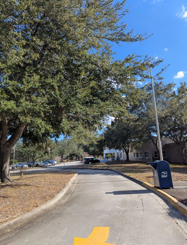 All Photos for Regal Tree Service and Stump Grinding in Wauchula, FL