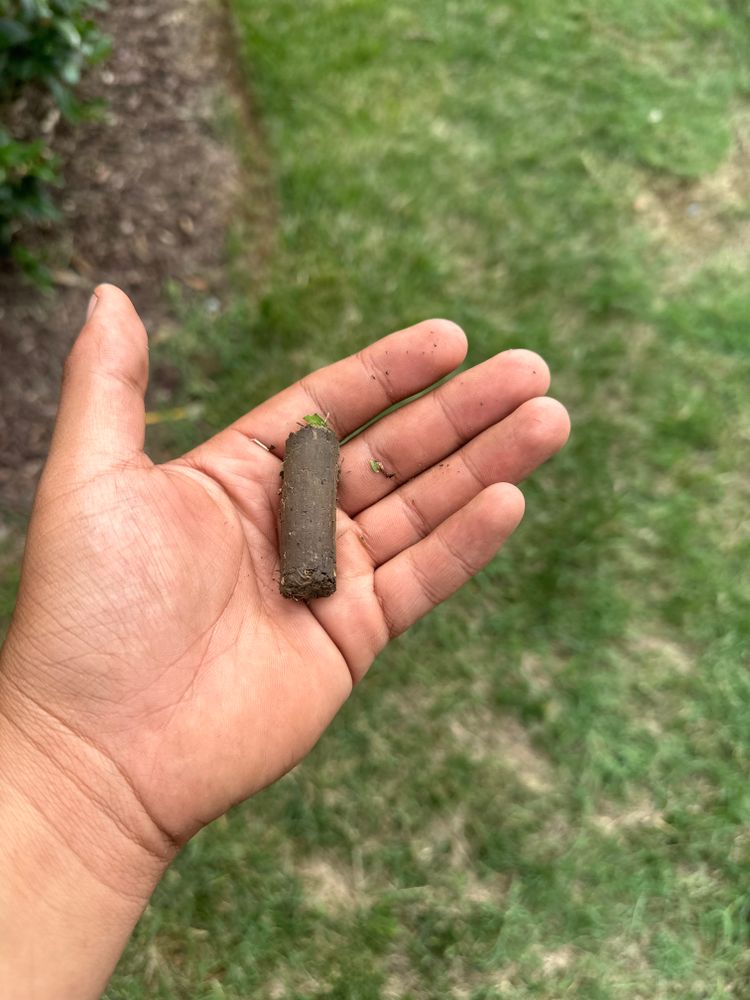 All Photos for Pecina Pine Needles in Monroe, NC