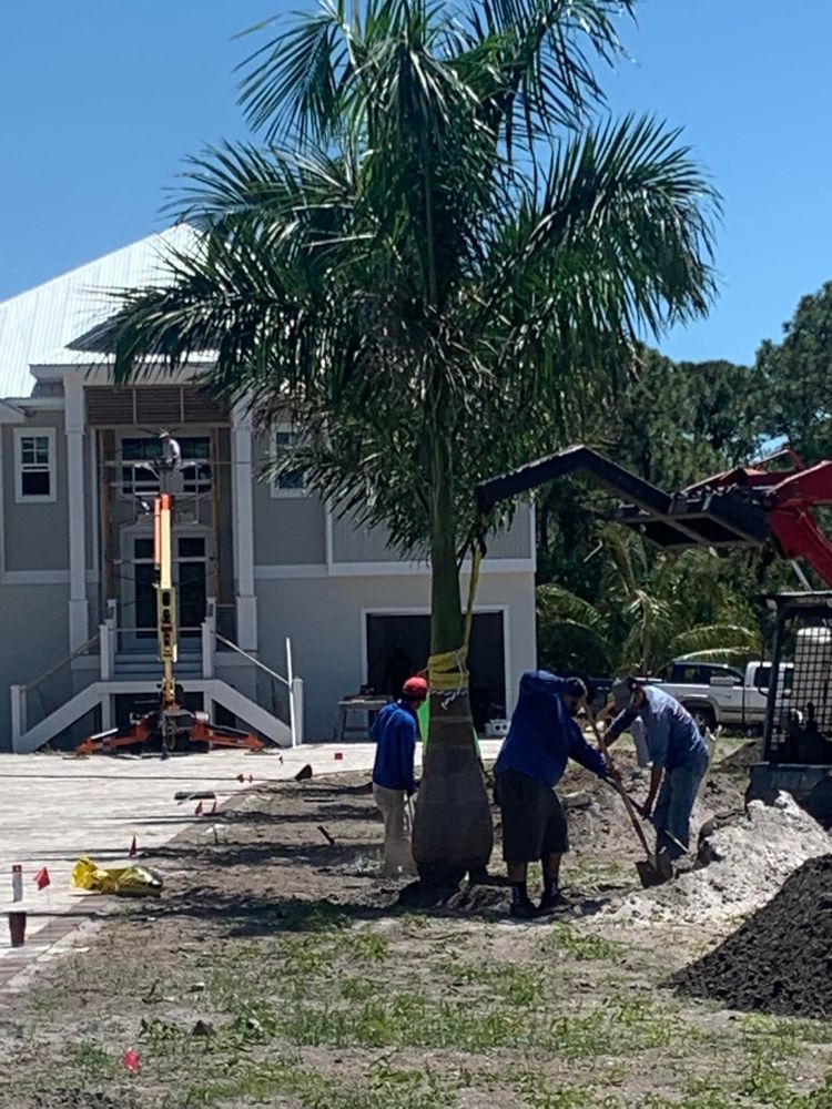 Landscaping for DelliQuadri Landscapes LLC in North Port, FL