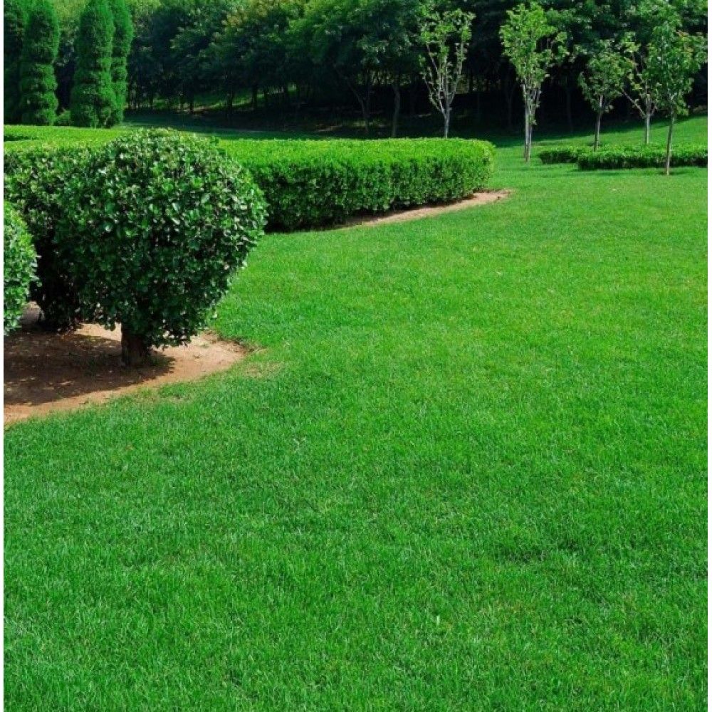 Lawn Care for BKB TURF Management in Concord,  NC