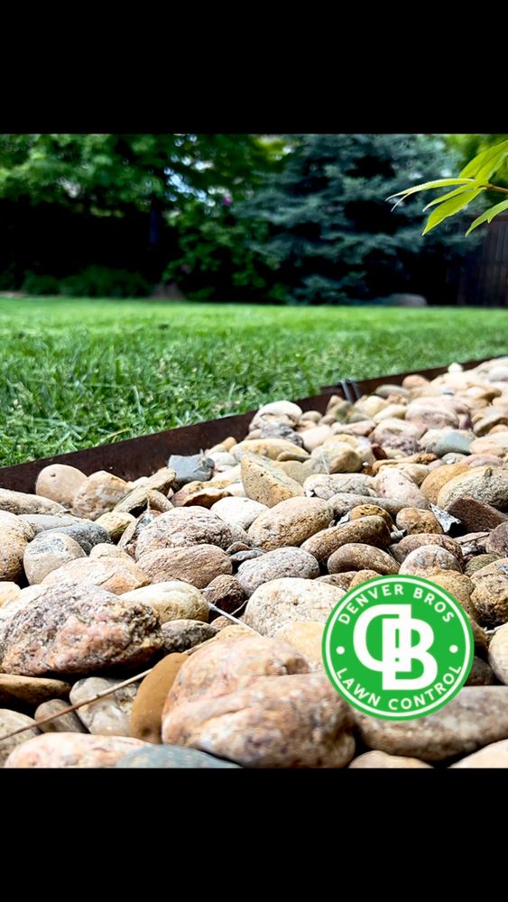 All Photos for Denver Bros Lawn Control in Denver, CO