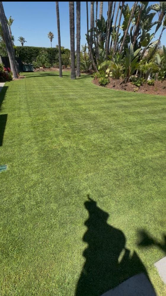 All Photos for Herreras Land Service in San Diego, CA