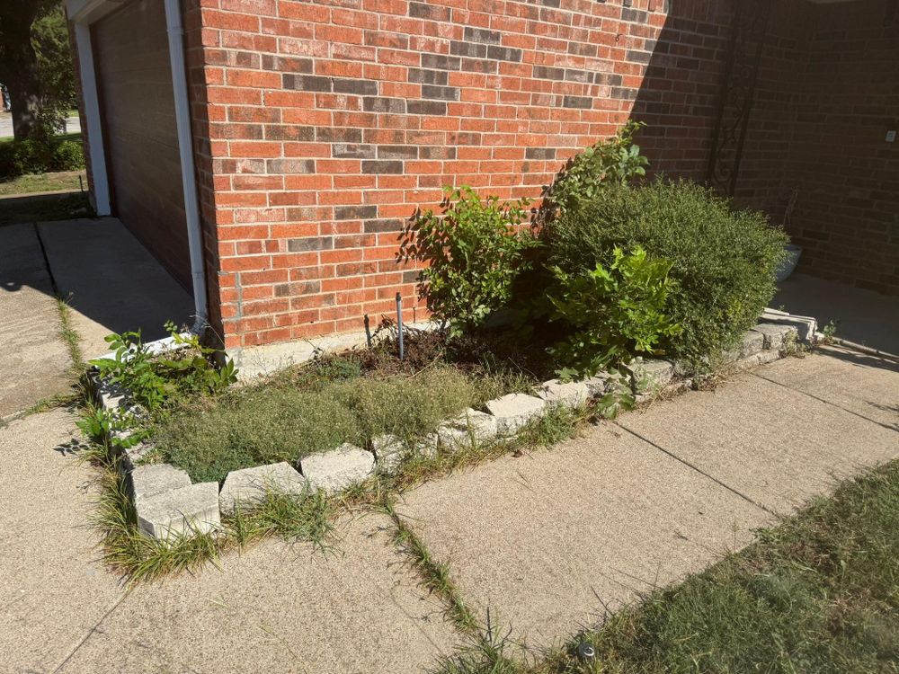 All Photos for Blu-J Tree Care in Arlington, TX