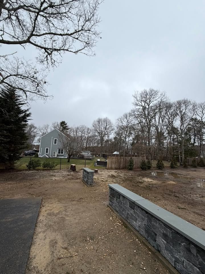 All Photos for Native Roots Tree Service in Cape Cod, MA