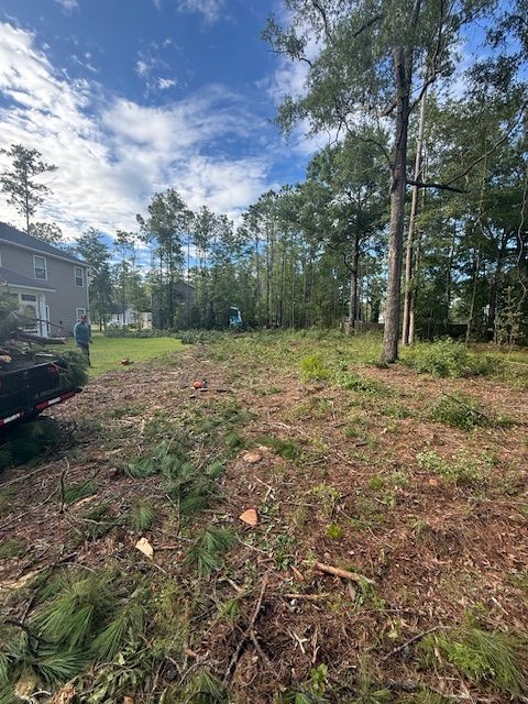 All Photos for Hawkins Tree Service & Land Management in Richmond Hill, GA