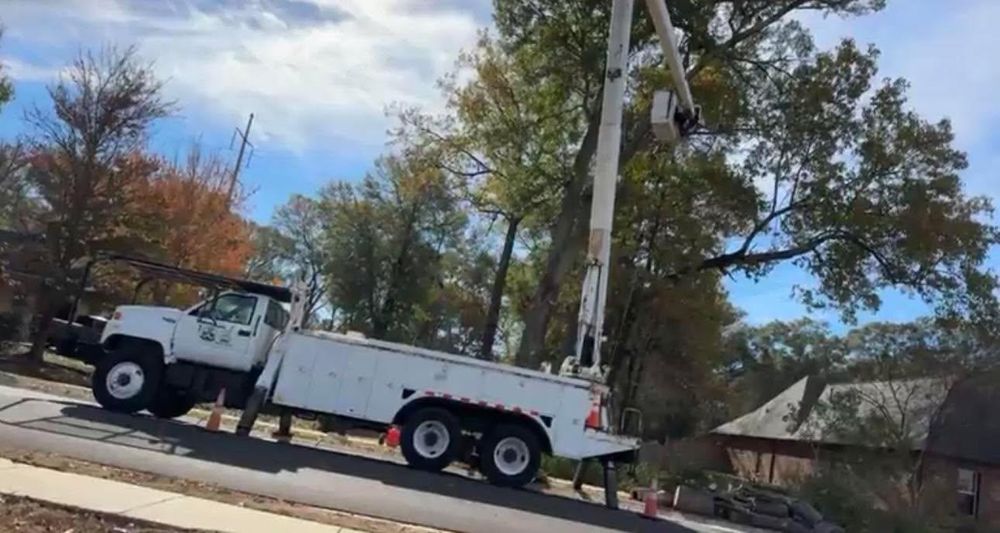 All Photos for Action Tree & Debris Removal in Jackson,  MS