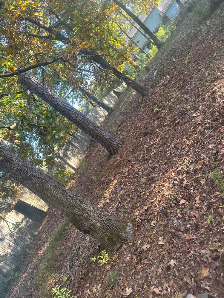 All Photos for J.P Landscaping and excavation in Chattanooga, TN