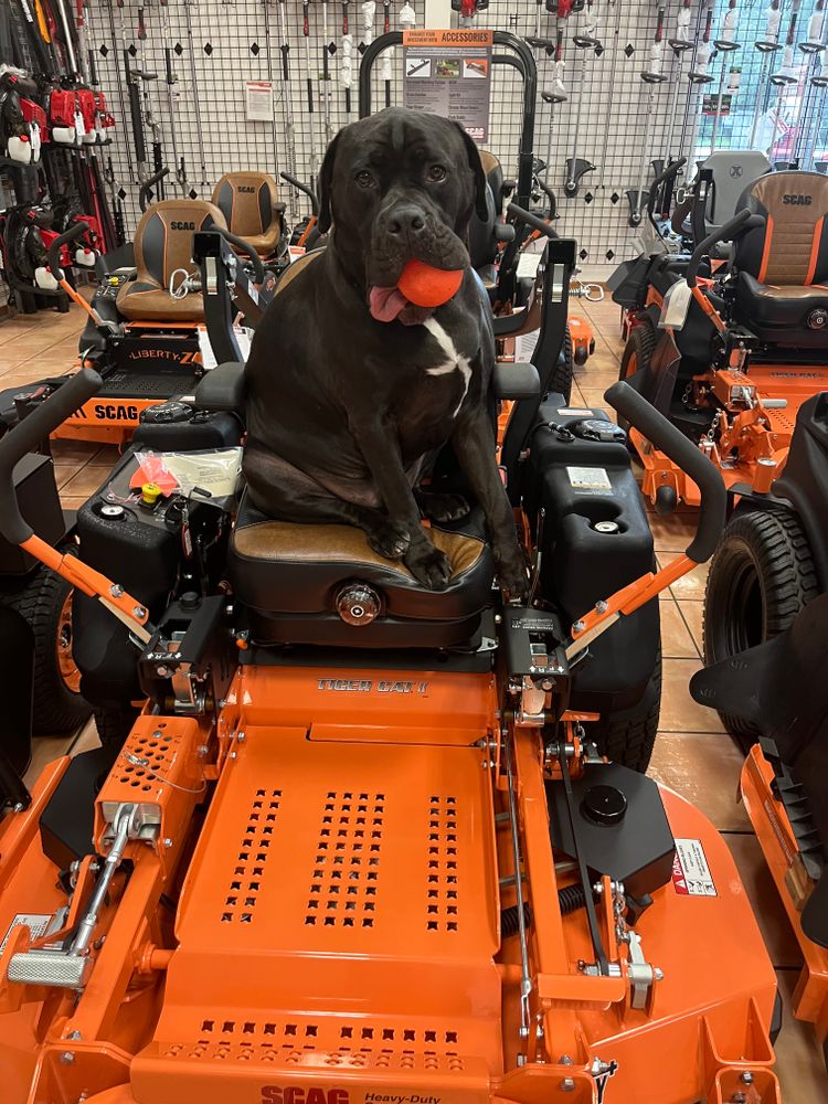 All Photos for Space Coast Property Maintenance and Management LLC in Melbourne, FL