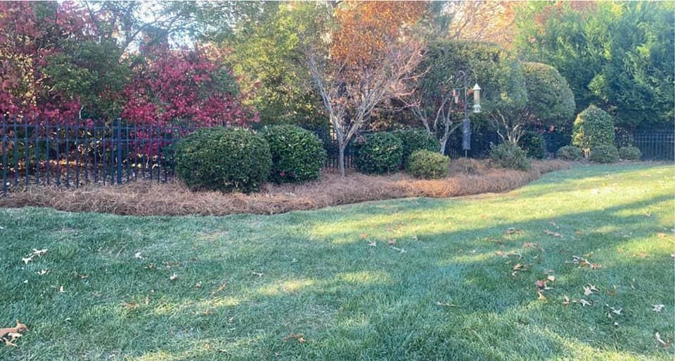 Mulching for America's Top Pick Lawn & Landscaping in Gastonia, NC