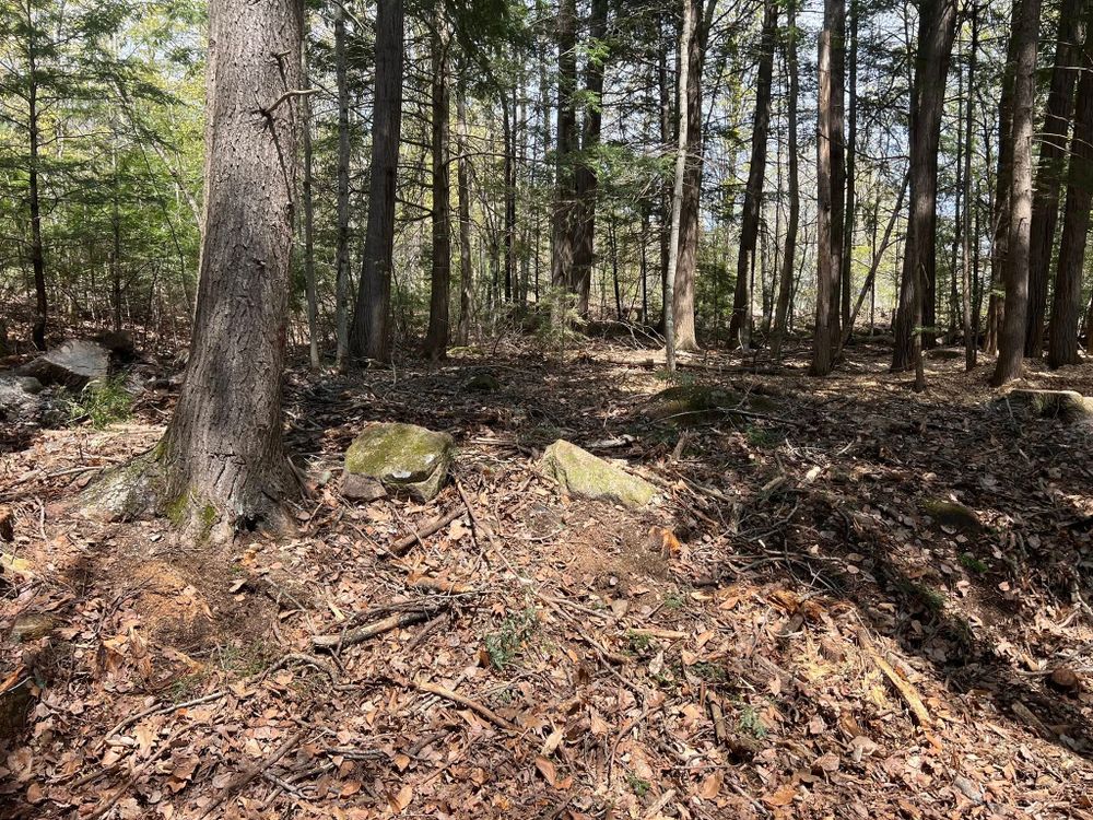 All Photos for Abair Tree Service in Weare, NH