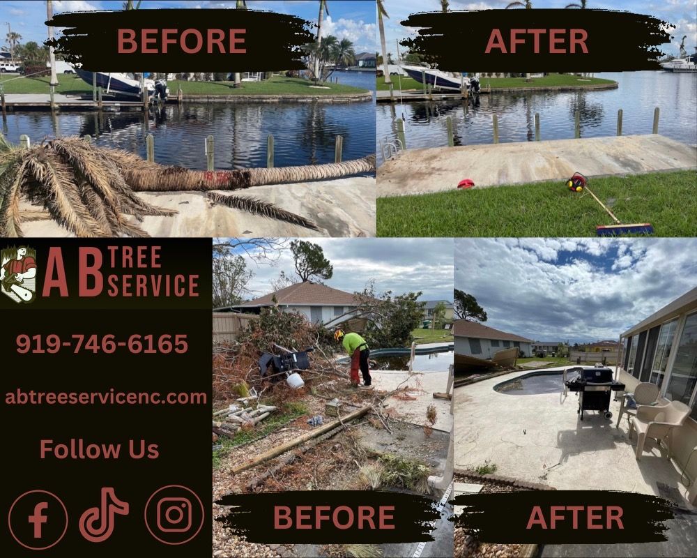 All Photos for AB Tree Service in Raleigh, NC