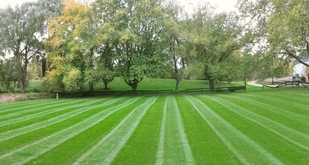 Our Lawn Maintenance service ensures a lush, healthy yard through regular mowing, trimming, fertilization, and pest control. We provide tailored solutions for vibrant curb appeal and optimal grass growth all year round. for One Awesome Dad Lawn Care Service in Keller, TX