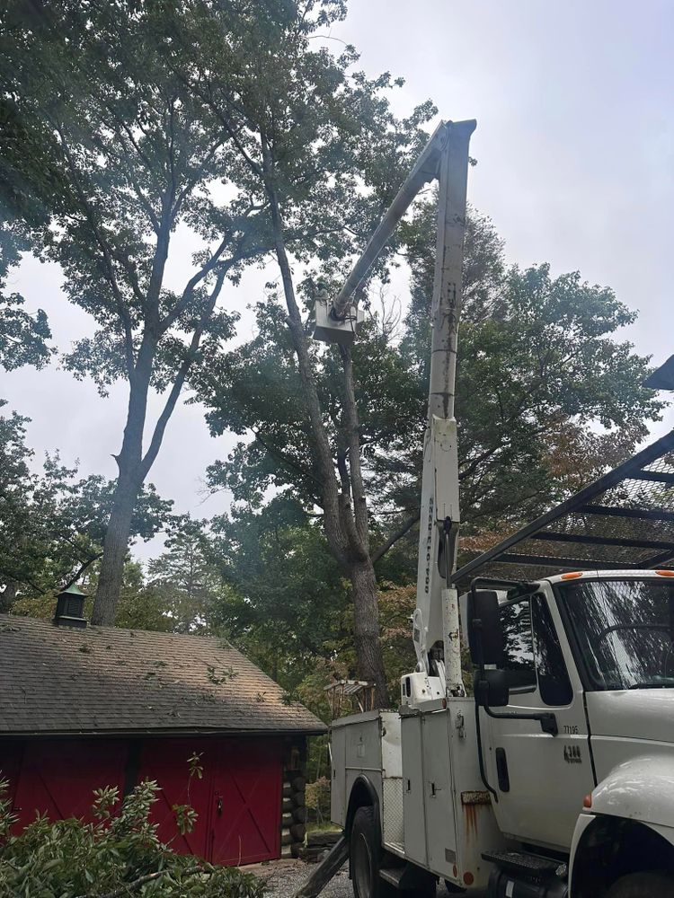 All Photos for Moore’s Tree Service in Chesnee, SC