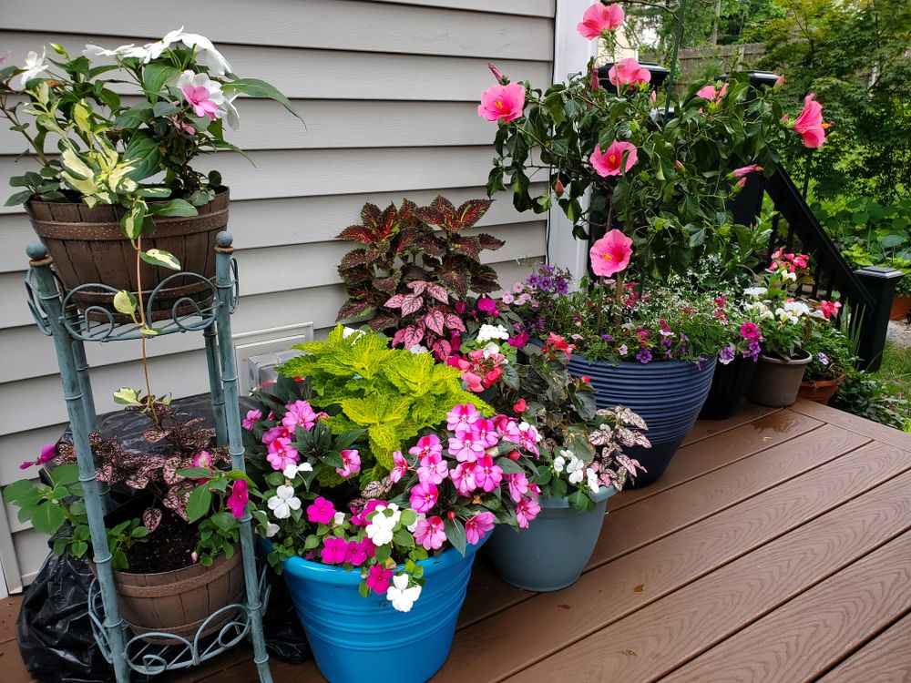 All Photos for Evolution Earthscapes, LLC in Ludlow, MA