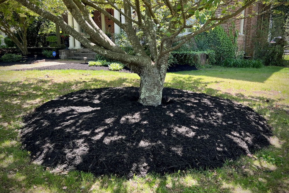 All Photos for Virginia Yard Pros in Appomattox, VA