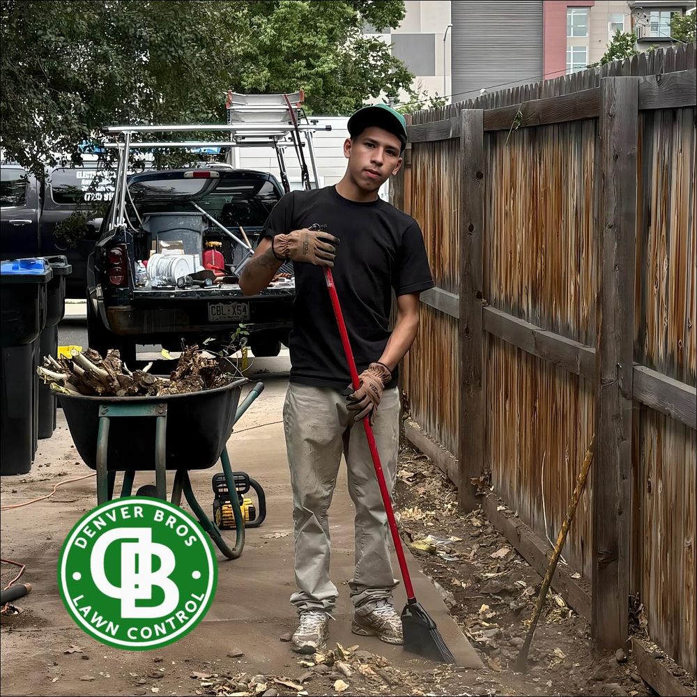 Our Fall Clean Up service ensures your property looks pristine by removing leaves, debris, and preparing your lawn for winter. Enjoy a tidy landscape that boosts curb appeal and protects plant health. for Denver Bros Lawn Control in Denver, CO