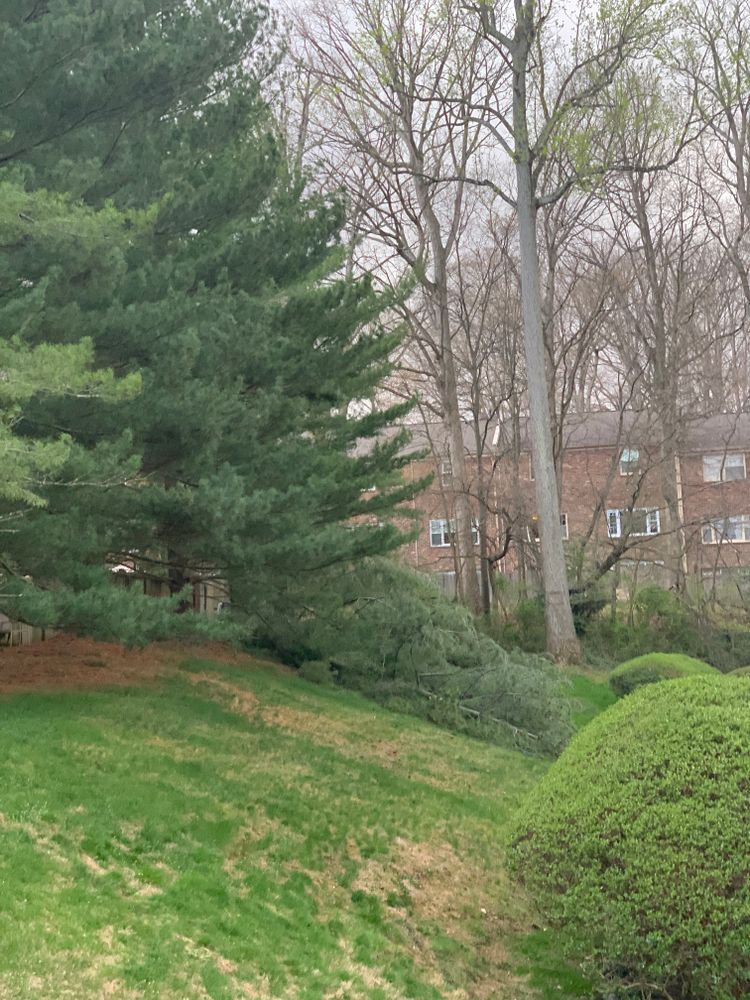All Photos for R Merkli Inc. in Mount Vernon , VA