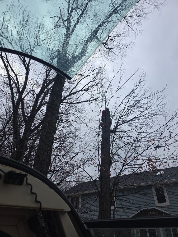 All Photos for Advanced Tree Solutions in Rockville, IN