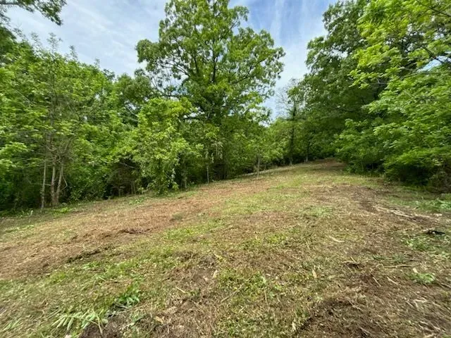 Brush Clearing  for Three Rivers Dirt Works LLC in Knoxville, TN