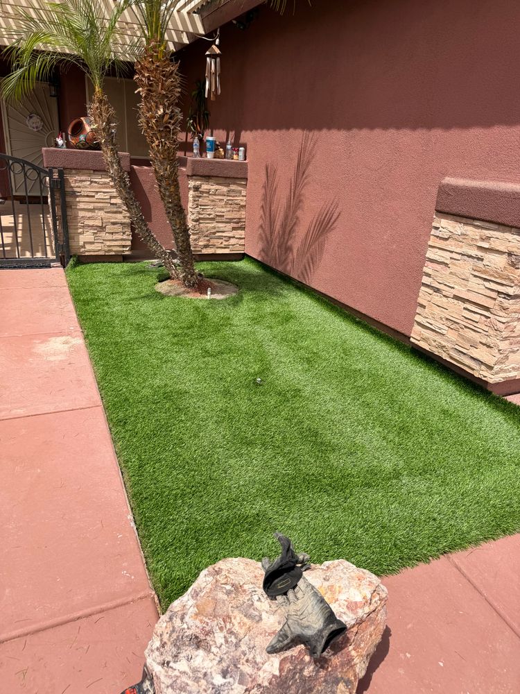 All Photos for Yuma Palms & Tree Service in Yuma, AZ