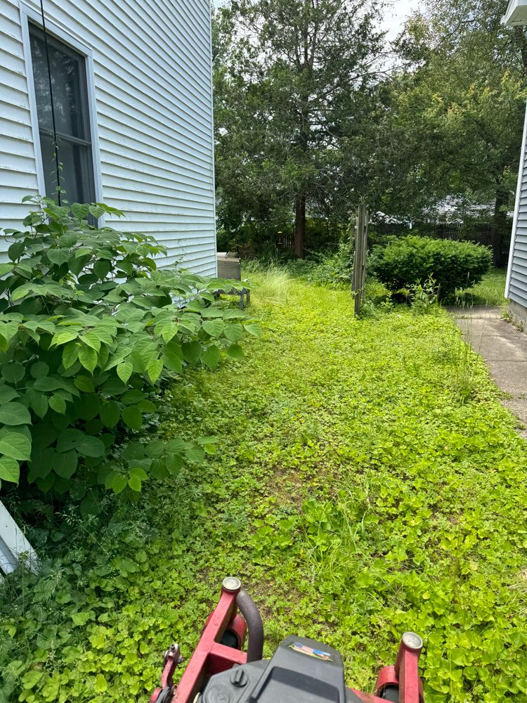 All Photos for Adams Landscaping in Springfield, MA