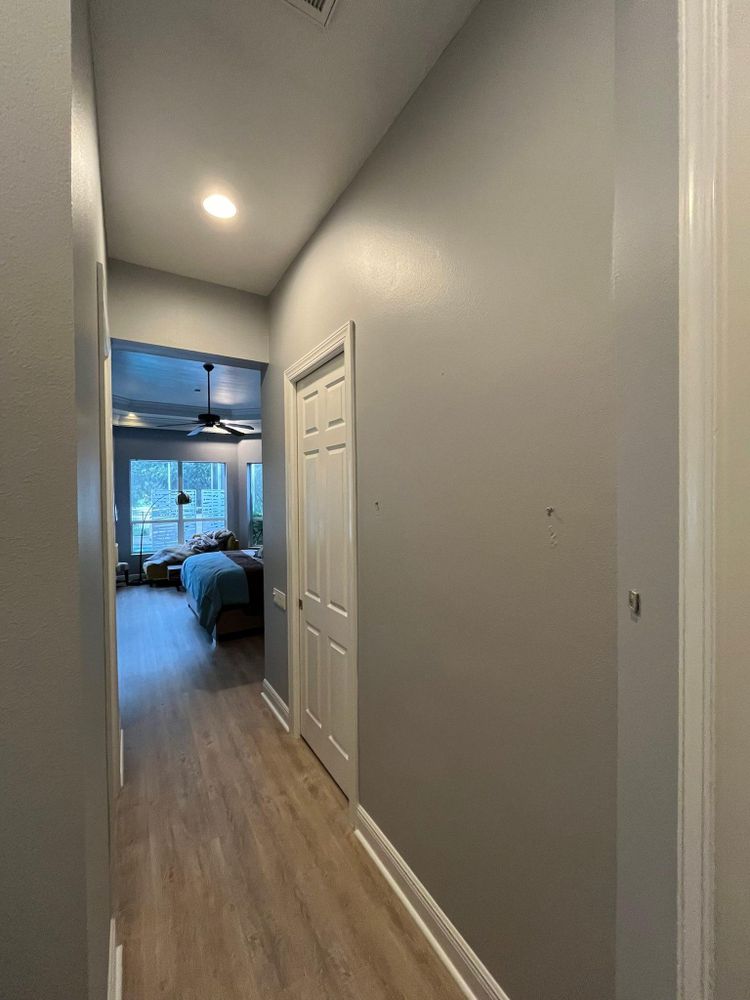 All Photos for Escorpio Painting in Tampa, FL