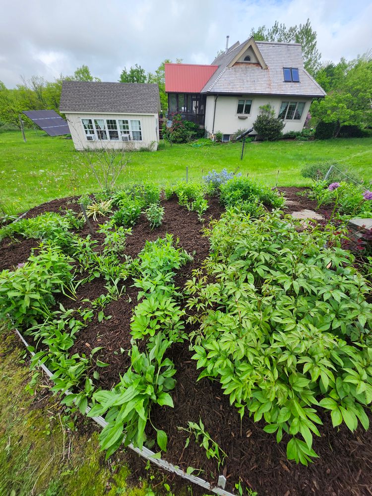 Muclhing & Weeding for Landscape Innovations LLC in Torrington, CT