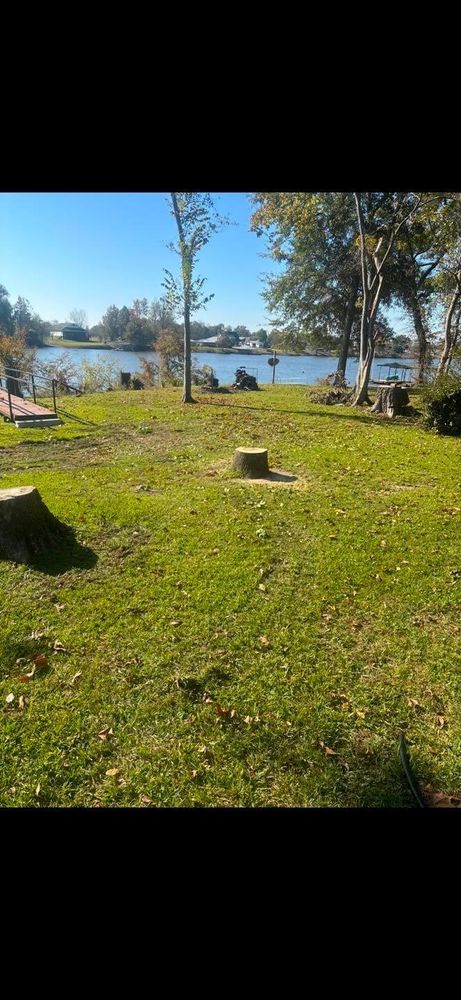All Photos for Morace Tree Service in Natchez,,  MS