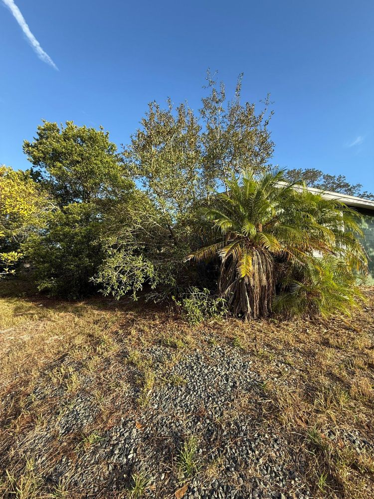 All Photos for Kramer & Son’s Property Maintenance in Hudson, FL