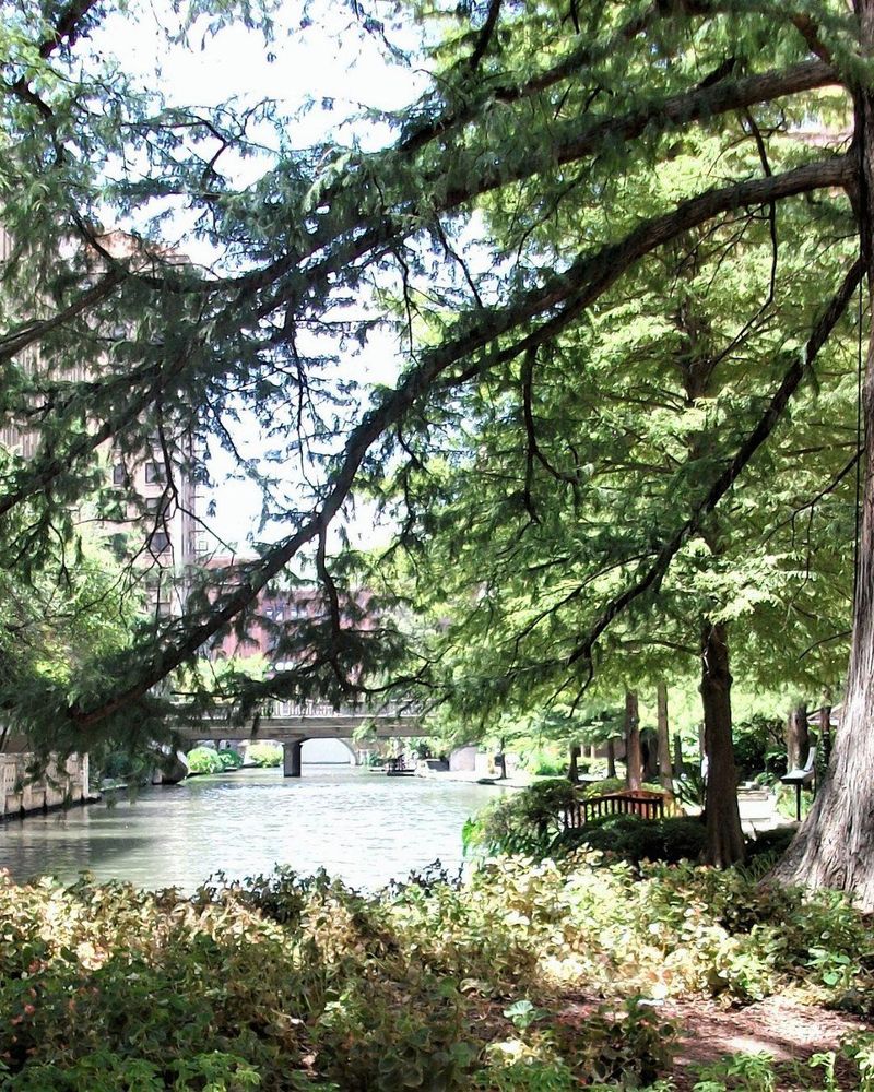 All Photos for Oakwood Tree Removal LLC in Oak Creek,  WI