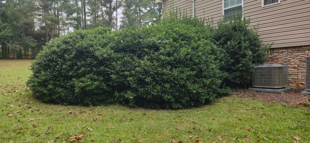 All Photos for Fresh Cut Yard & Lawn Care LLC in Forsyth, GA