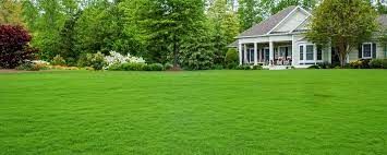 Lawn Care for Unique Landscaping in Poulsbo, WA