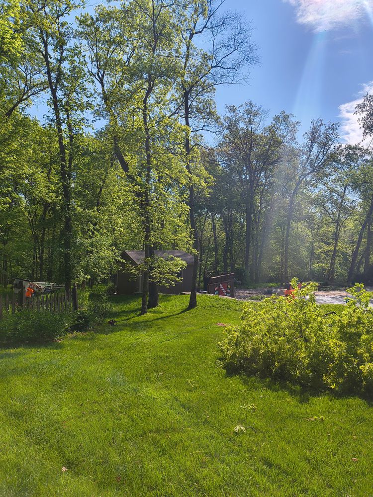 All Photos for Cross Family Tree Service in Kearney, MO