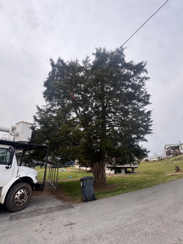 All Photos for Complete Care in Cumberland Gap, TN