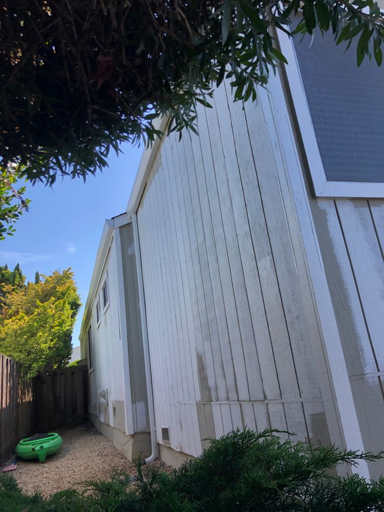 Exterior Painting for Clean Finish Painting in San Carlos, CA