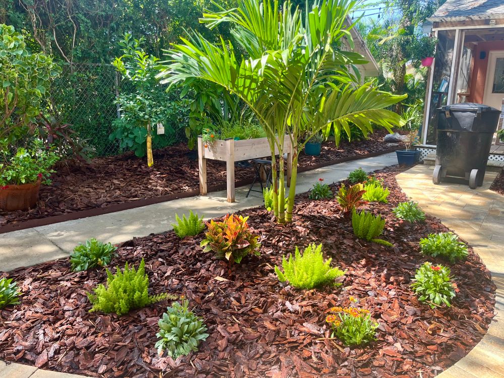 Landscaping for Verimay's Garden and Landscaping in Hillsborough County, FL