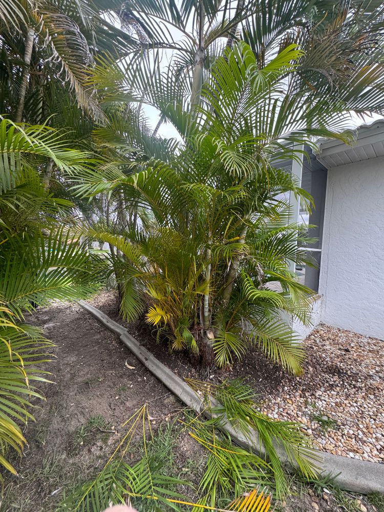 All Photos for Rize N’ Grind  in Punta Gorda, FL