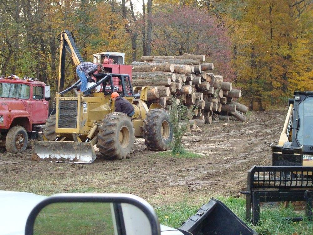 Logging for Bennett Logging in Gosport, Indiana