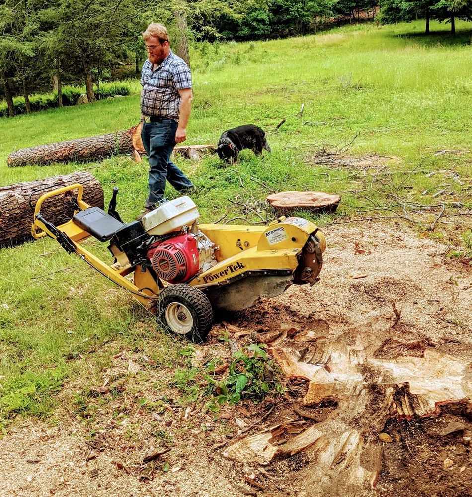 Beckenbaugh Tree & Lawn Service team in Lewistown, PA - people or person