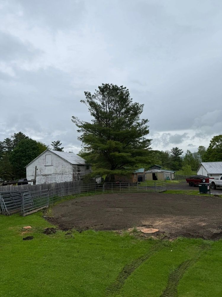 Tree Removal for Sterlings Tree Removal in Cobleskill, New York