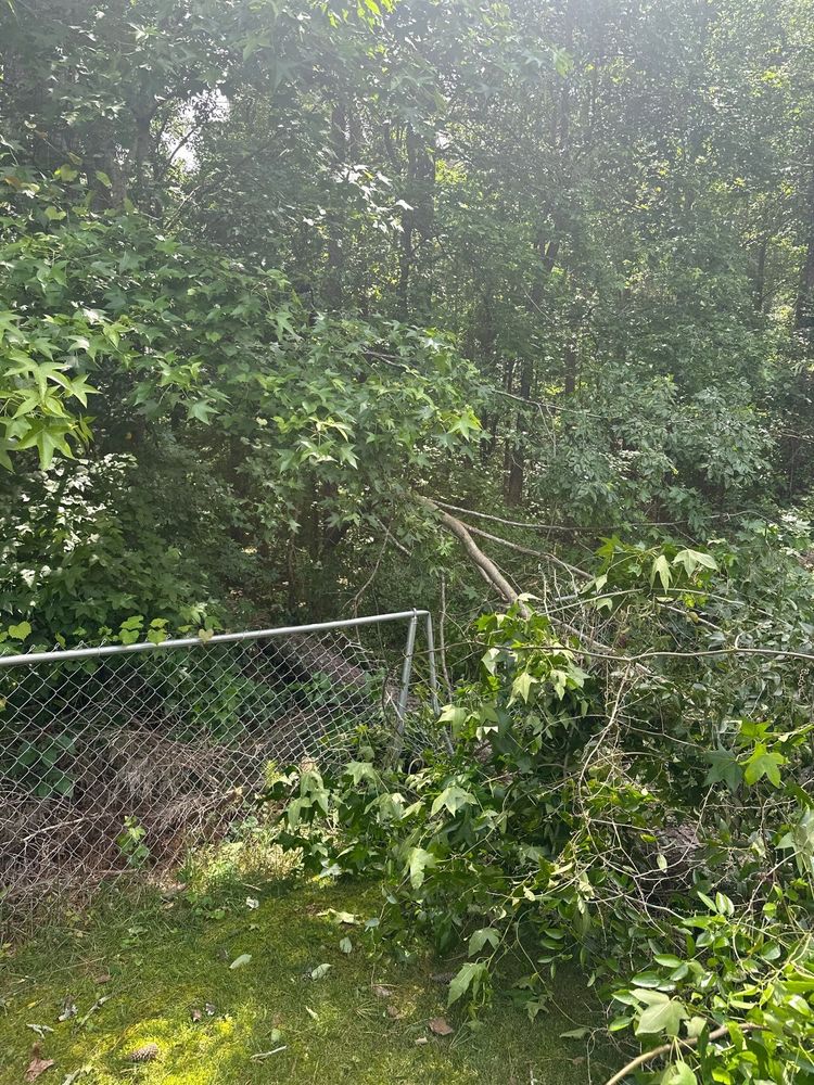 All Photos for Bulldawg Disaster Response in Atlanta, GA