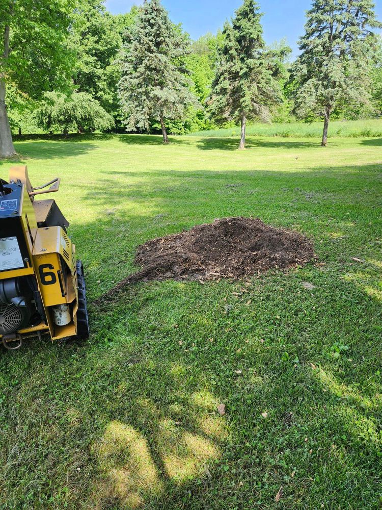 We offer professional stump removal services to fully eliminate unsightly stumps from your property, ensuring a smooth and safe landscape for you to enjoy. for Foxworth Tree Service in Coloma,, MI