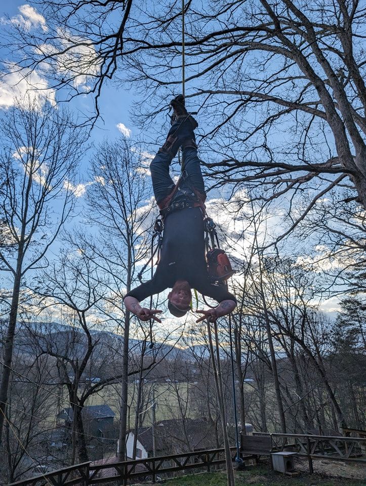 All Photos for Wade's Family Tree Service in Townsend, TN