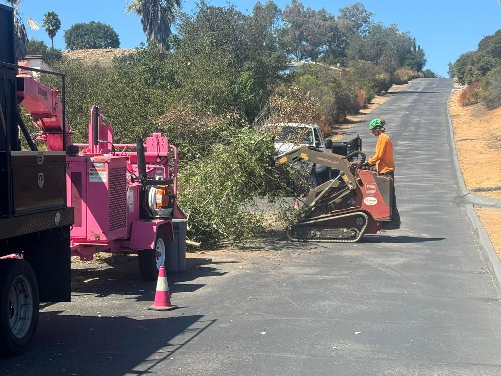 All Photos for The Tree Fairy in Temecula, CA