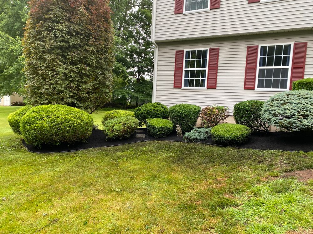 All Photos for Dibs Landscaping LLC in Cheshire, CT