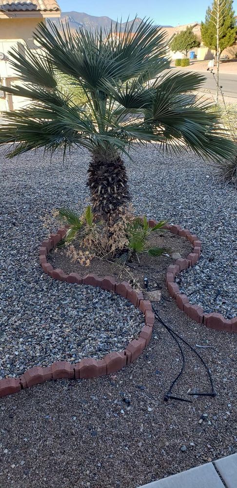 Enhance your outdoor space with our Brick Boarders service, providing expertly installed brick edging that beautifully defines garden beds, pathways, and driveways, ensuring durability and a polished look for your landscape. for A to Z Grounds Keeping in Sierra Vista, AZ